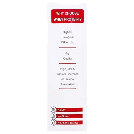 Daylon Protein Chocolate Flavour Powder, 500 gm