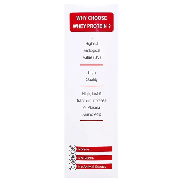 Daylon Protein Chocolate Flavour Powder, 500 gm