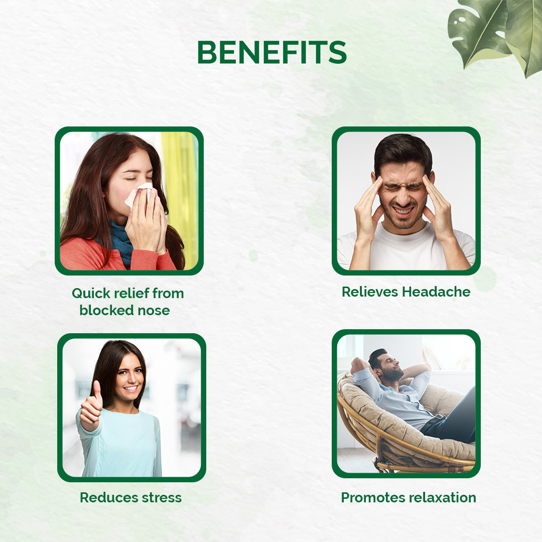 Dr. Vaidya's Inhalant, 10 gm, Pack of 1 Dr. Vaidya's Inhalant, 10 gm, Pack of 1