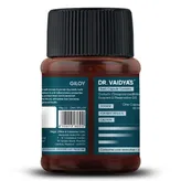 Dr. Vaidya's Giloy Immunity Enhancer, 60 Capsules (2 x 30 Capsules), Pack of 1