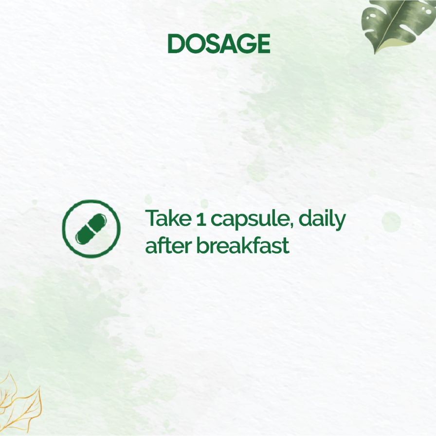 Dr. Vaidya's Giloy Immunity Enhancer, 60 Capsules (2 x 30 Capsules), Pack of 1 Dr. Vaidya's Giloy Immunity Enhancer, 60 Capsules (2 x 30 Capsules), Pack of 1