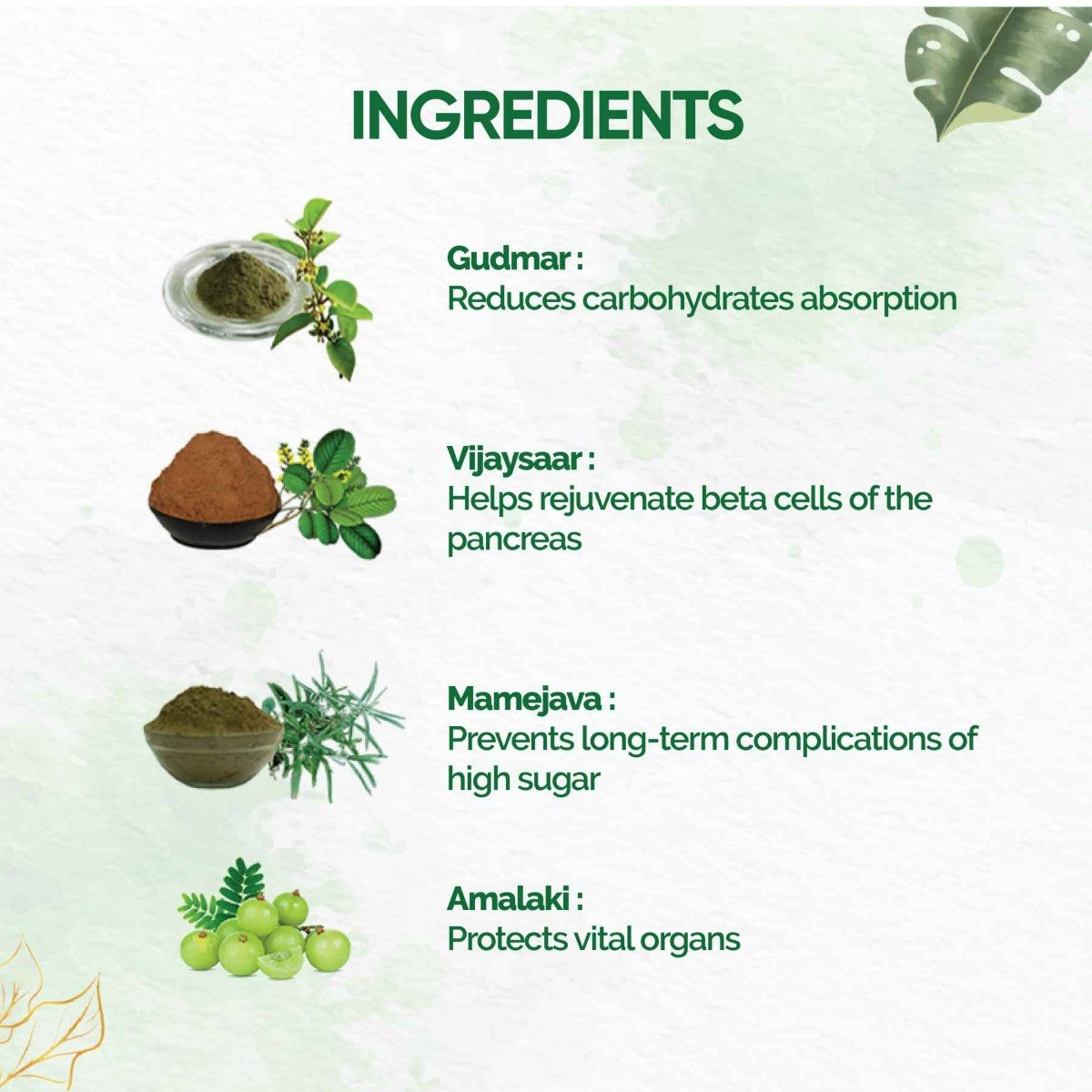 Dr. Vaidya's Diabex, 30 Capsules, Pack of 1 Dr. Vaidya's Diabex, 30 Capsules, Pack of 1