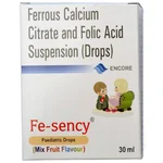 FE-Sency Suspension