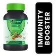 Fitspire Immunity Booster, 60 Tablets