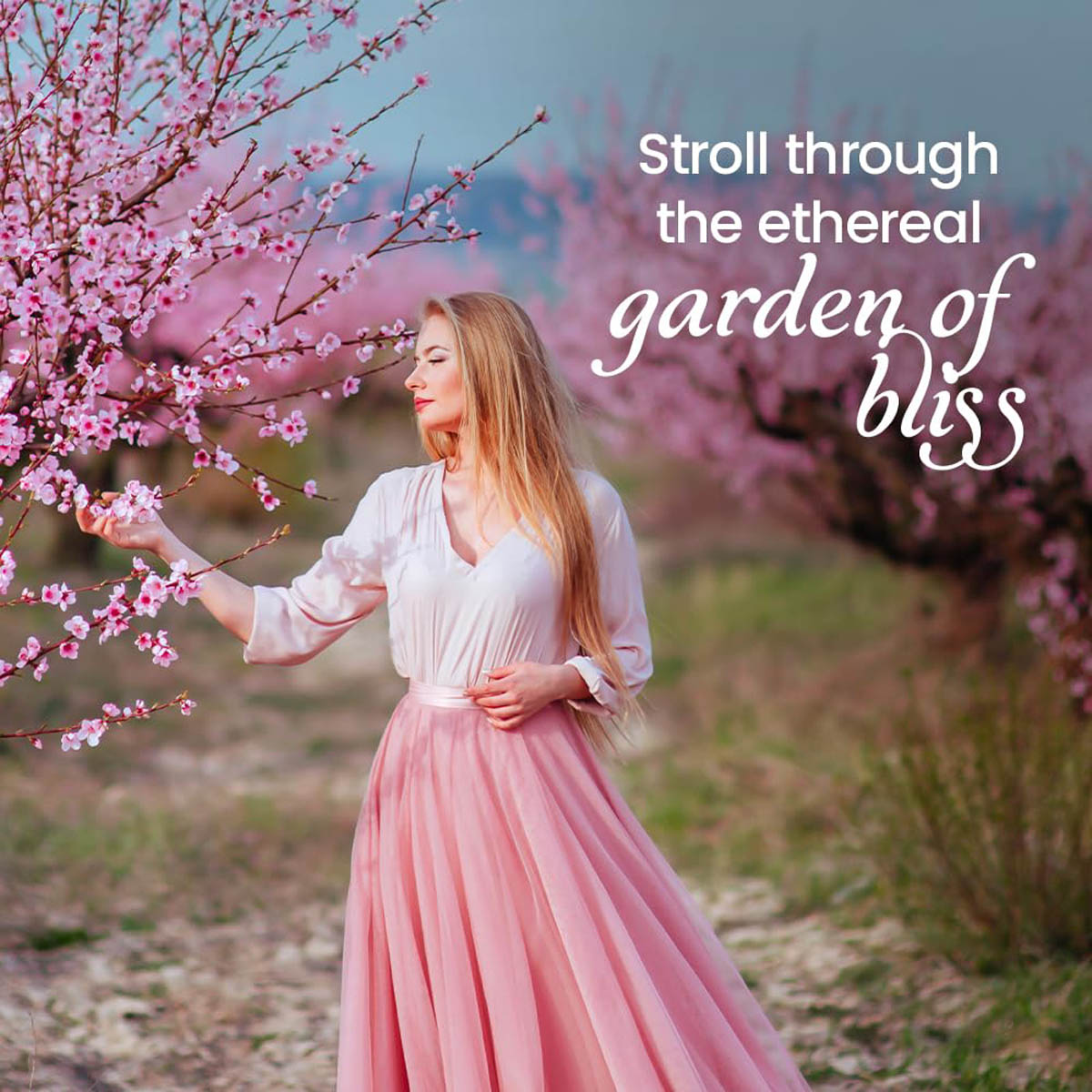 Fogg Paradise Fragrance Body Spray For Women, 120 ml, Pack of 1 Fogg Paradise Fragrance Body Spray For Women, 120 ml, Pack of 1