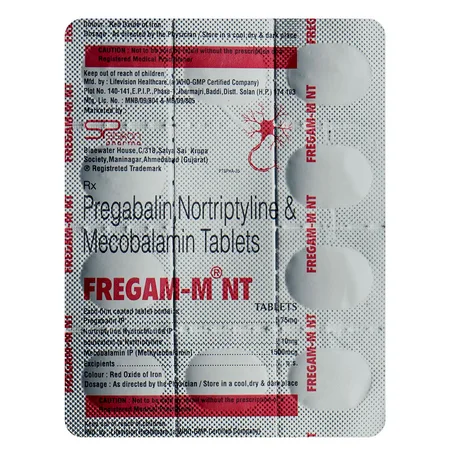 Fregam MNT Tablet 10's