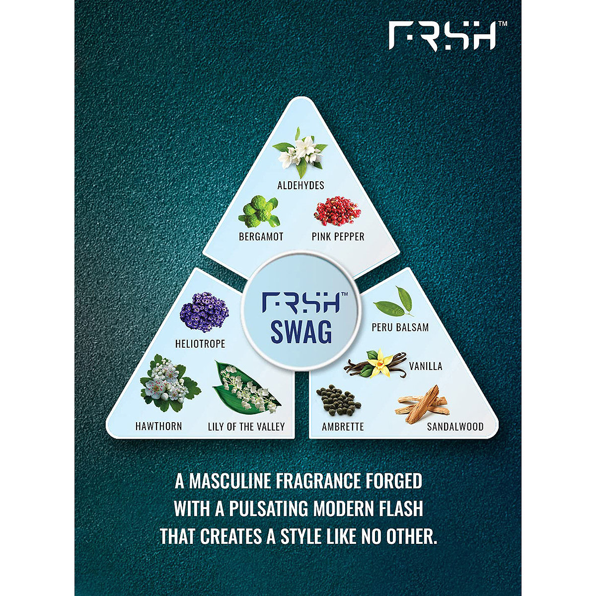 Frsh Swag Perfumed Deodorant Body Spray, 200 ml, Pack of 1 Frsh Swag Perfumed Deodorant Body Spray, 200 ml, Pack of 1