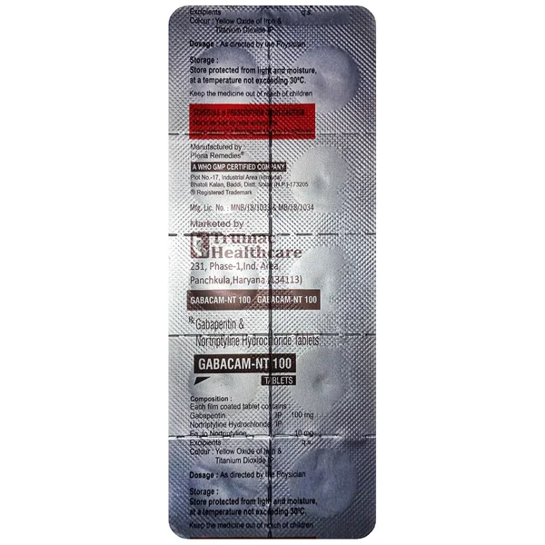 Gabacam-NT 100  Tablet 10's