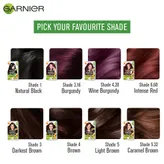 Garnier Color Naturals Creme Riche Shade 4 Brown Hair Color, 1 Kit, Pack of 1