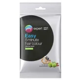 Godrej Expert Easy 5 minute Hair Colour Shampoo Based Natural Black, 20 ml, Pack of 1
