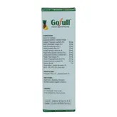 Gofull Syrup, 200 ml, Pack of 1