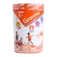 Groviva Strawberry Powder 400 gm