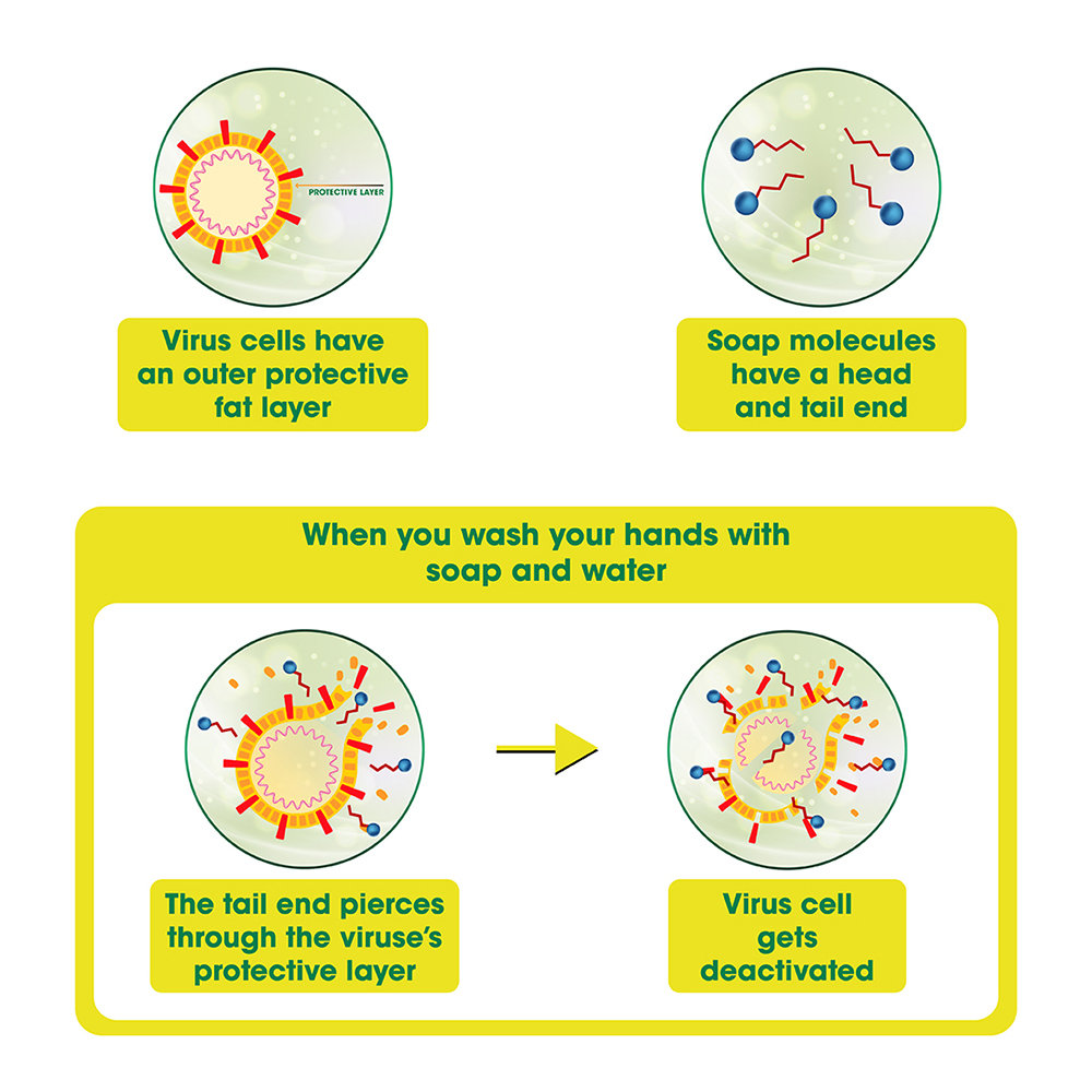 Hamam Neem Tulsi & Aloe Vera Handwash 190 ml | 100 % Pure Neem Oil | Removes Impurities | Keep Hand Clean, Pack of 1 Hamam Neem Tulsi & Aloe Vera Handwash 190 ml | 100 % Pure Neem Oil | Removes Impurities | Keep Hand Clean, Pack of 1