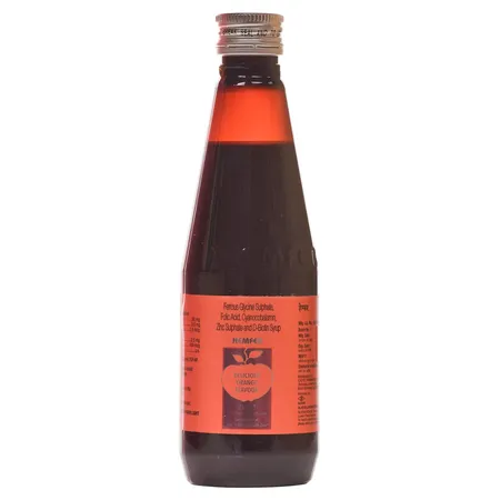 Hemfer Delicious Orange Flav Syrup 225 ml