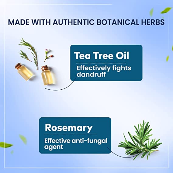 Himalaya Anti-Dandruff Hair Oil, 200 ml, Pack of 1 Himalaya Anti-Dandruff Hair Oil, 200 ml, Pack of 1