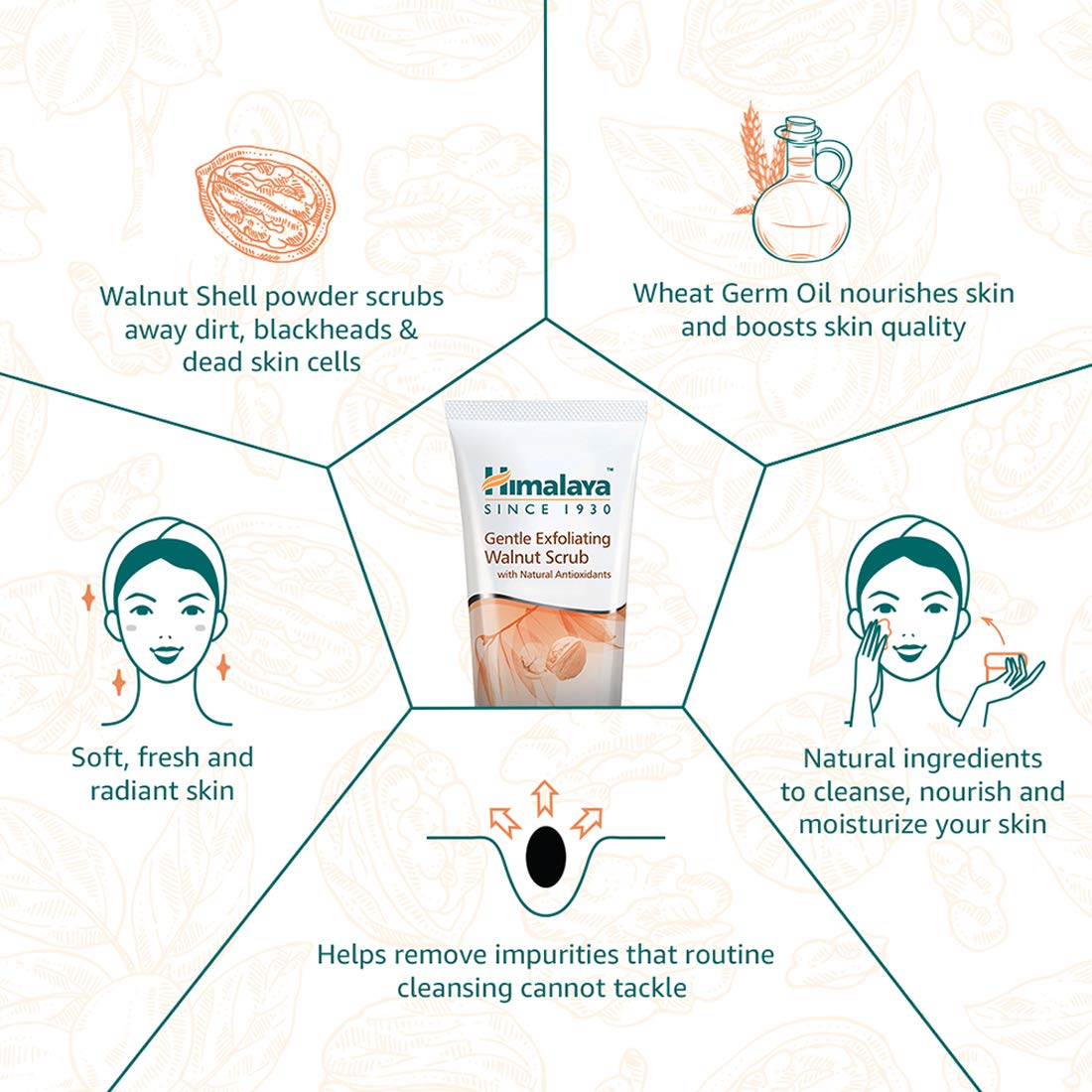 Himalaya Gentle Exfoliating Walnut Scrub 50 gm | Walnut, Apricot & Natural Antioxidants | Exfoliates Blackheads & Dead Skin Cells, Pack of 1 Himalaya Gentle Exfoliating Walnut Scrub 50 gm | Walnut, Apricot & Natural Antioxidants | Exfoliates Blackheads & Dead Skin Cells, Pack of 1