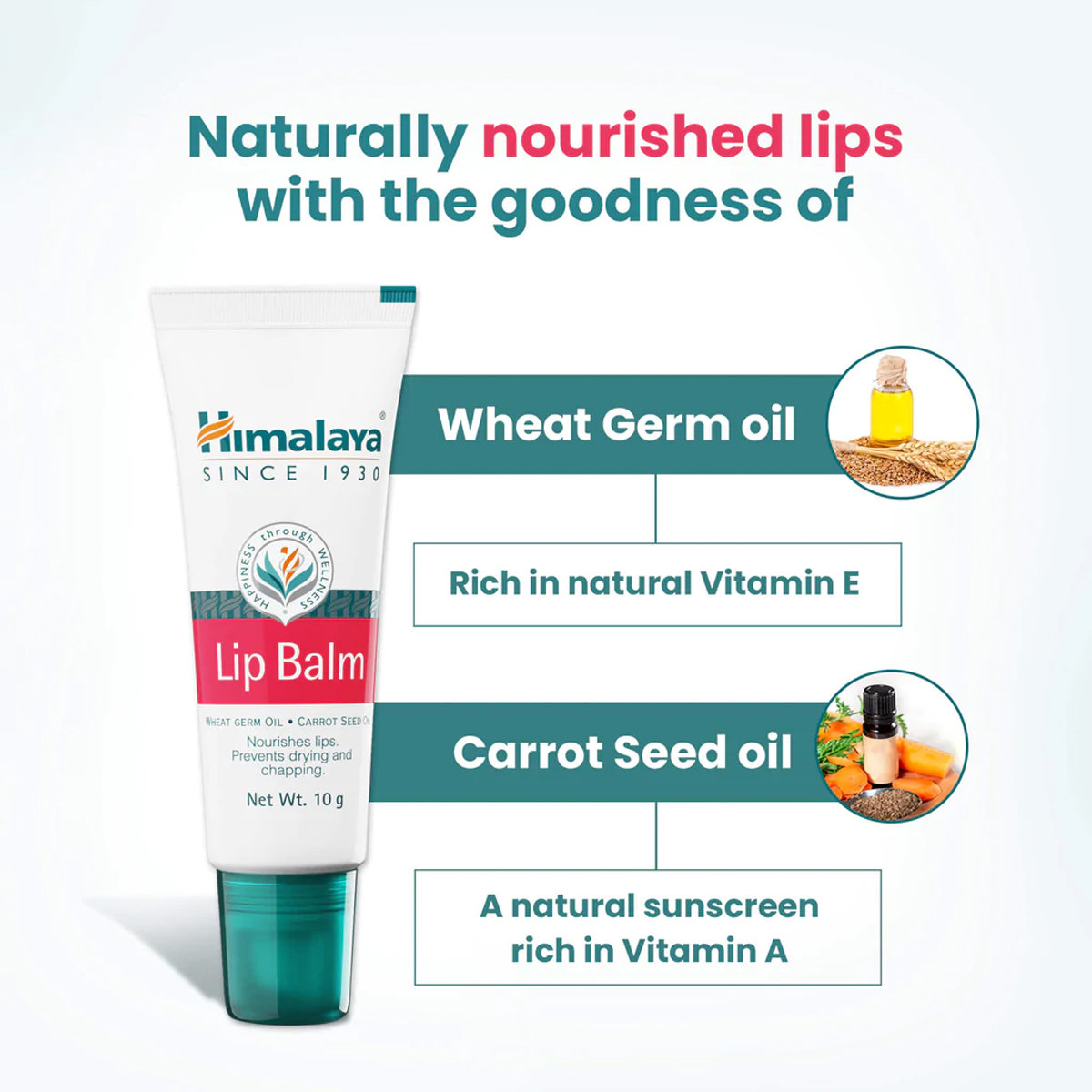 Himalaya Lip Balm 10 gm | Wheat Germ Oil & Carrot Seed Oil | Relives Dry & Chapped Lips | Nourishes Lips, Pack of 1 Himalaya Lip Balm 10 gm | Wheat Germ Oil & Carrot Seed Oil | Relives Dry & Chapped Lips | Nourishes Lips, Pack of 1