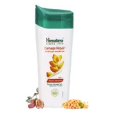 Himalaya Damage Repair Protein Shampoo with Beach Almond, 80 ml, Pack of 1