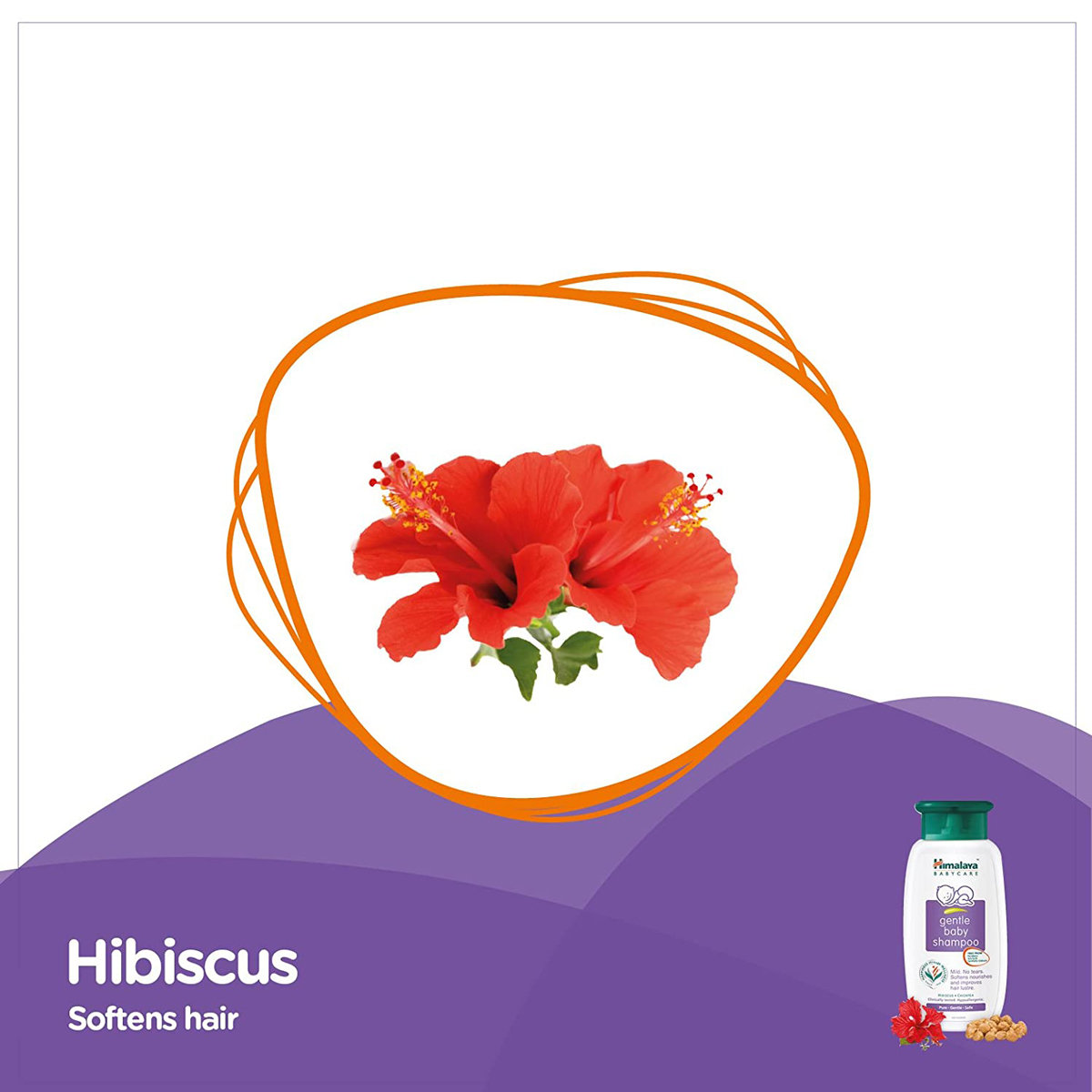 Himalaya Gentle Baby Shampoo, 400 ml, Pack of 1 Himalaya Gentle Baby Shampoo, 400 ml, Pack of 1