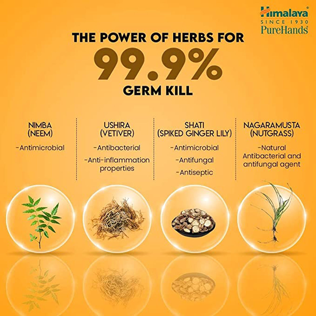 Himalaya Pure Hands Orange Flavour Hand Sanitizer 100 ml | KillS 99.9% Of Germs, Pack of 1 Himalaya Pure Hands Orange Flavour Hand Sanitizer 100 ml | KillS 99.9% Of Germs, Pack of 1