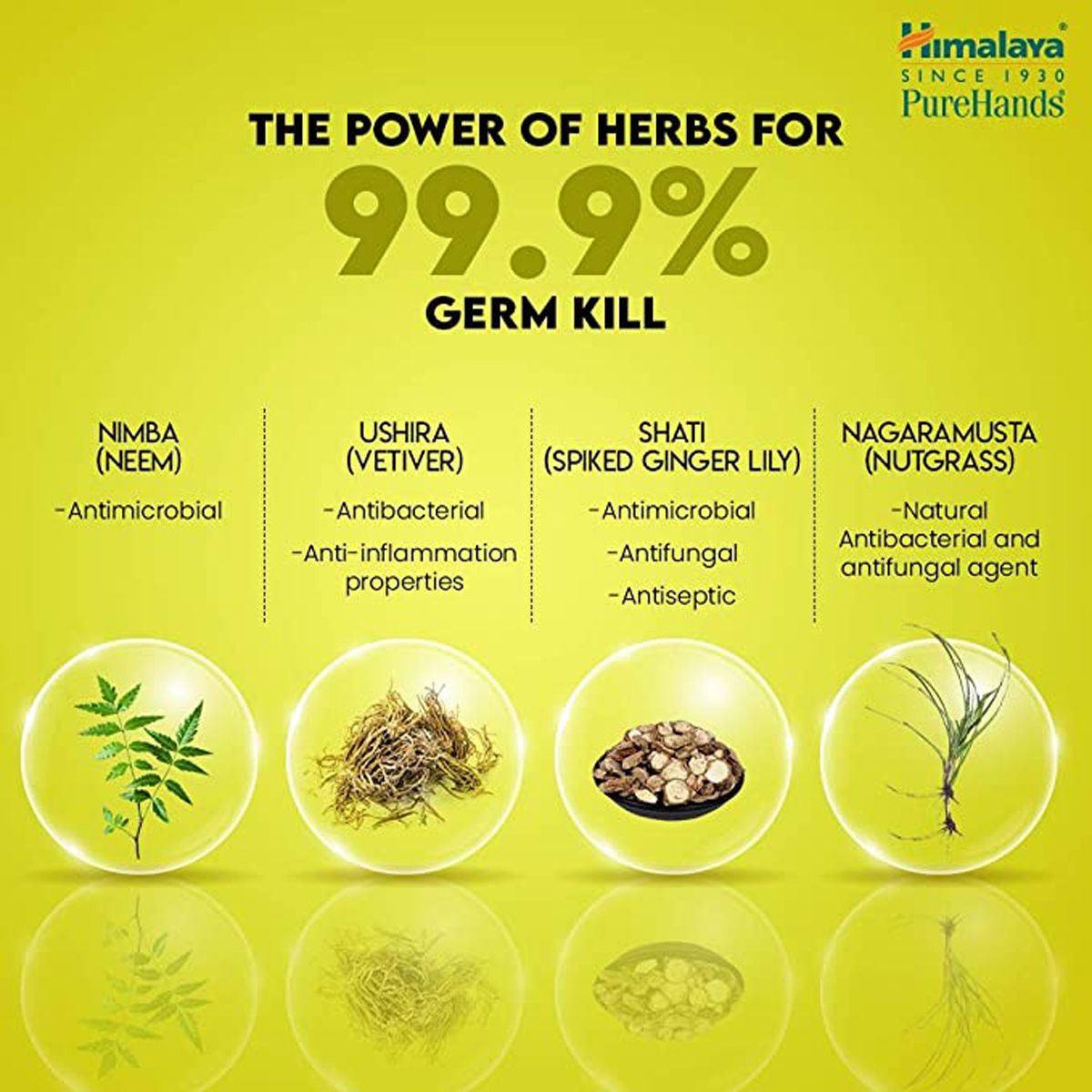 Himalaya Pure Hands Lemon Flavour Hand Sanitizer 500 ml | KillS 99.9% Of Germs, Pack of 1 Himalaya Pure Hands Lemon Flavour Hand Sanitizer 500 ml | KillS 99.9% Of Germs, Pack of 1