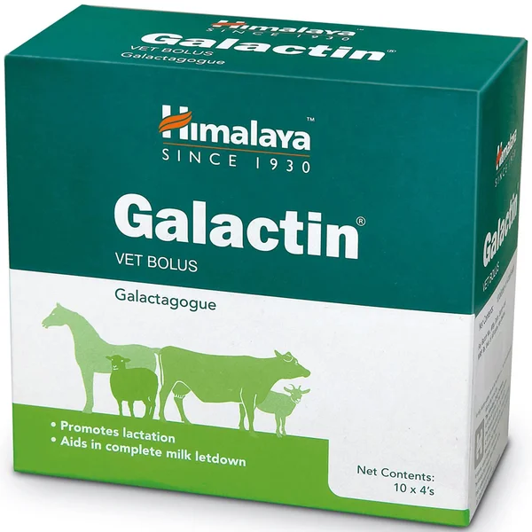 Himalaya Galactin Bolus, Pack of 1