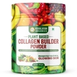 Himalayan Organics Plant Based Collagen Builder Powder, 250 gm