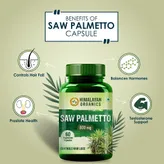 Himalayan Organics Saw Palmetto 800 mg, 60 Capsules, Pack of 1