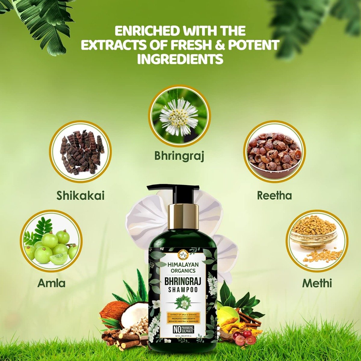 Himalayan Organics Bhringraj Shampoo, 300 ml, Pack of 1 Himalayan Organics Bhringraj Shampoo, 300 ml, Pack of 1