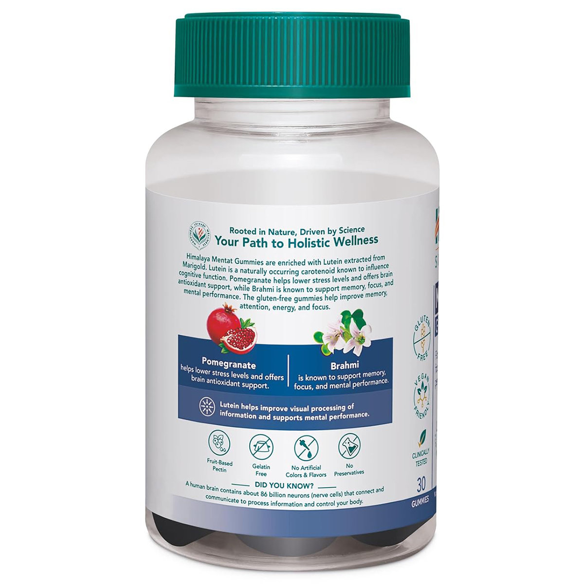 Himalaya Mentat Gummies Mango Flavour, 30 Count, Pack of 1 Himalaya Mentat Gummies Mango Flavour, 30 Count, Pack of 1
