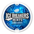 Ice Breaker Sugarfree Coolmint Mouth Freshner Mints, 42 gm