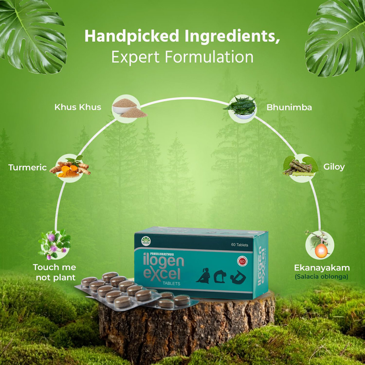 Pankajakasthuri Ilogen Excel, 10 Tablets, Pack of 10 Pankajakasthuri Ilogen Excel, 10 Tablets, Pack of 10