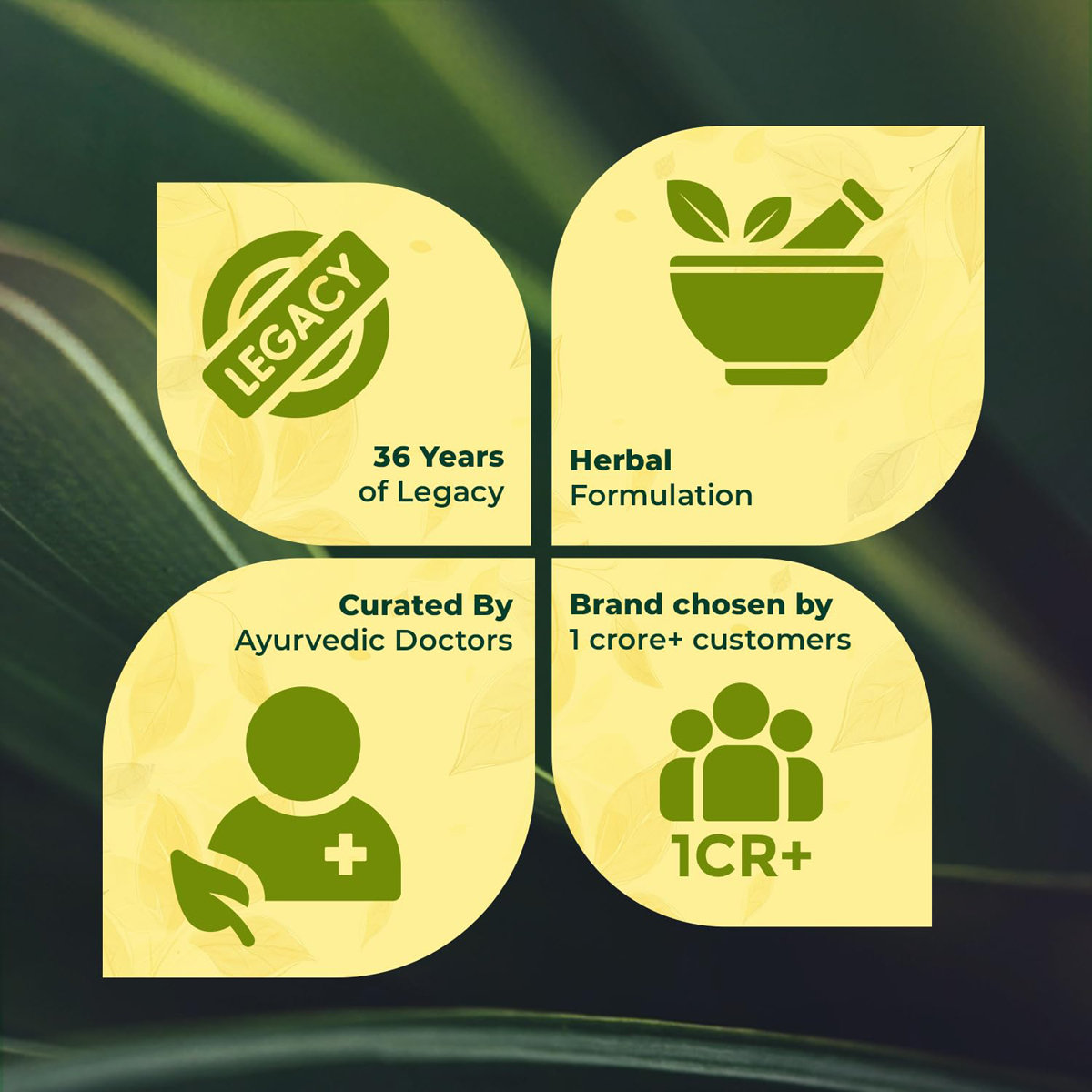 Pankajakasthuri Ilogen Excel, 10 Tablets, Pack of 10 Pankajakasthuri Ilogen Excel, 10 Tablets, Pack of 10