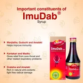 Dabur Imudab Syrup, 200 ml, Pack of 1