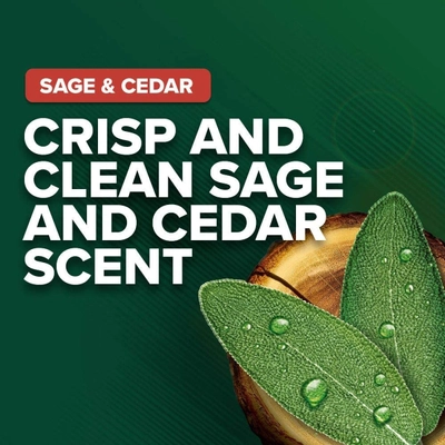 Irish Spring Sage &amp; Cedar Face Body Wash 532 ml | Cleanses &amp; Moistures | 24 Hrs Deodrant Protection, Pack of 1