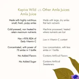 Kapiva Wild Amla Juice, 1 Litre, Pack of 1