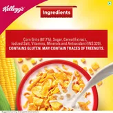 Kellogg's Corn Flakes, 100 gm, Pack of 1
