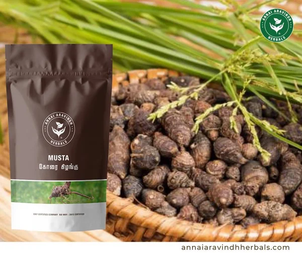 Annai Aravindh Herbals Korai Kizhangu Powder, 50 gm, Pack of 1