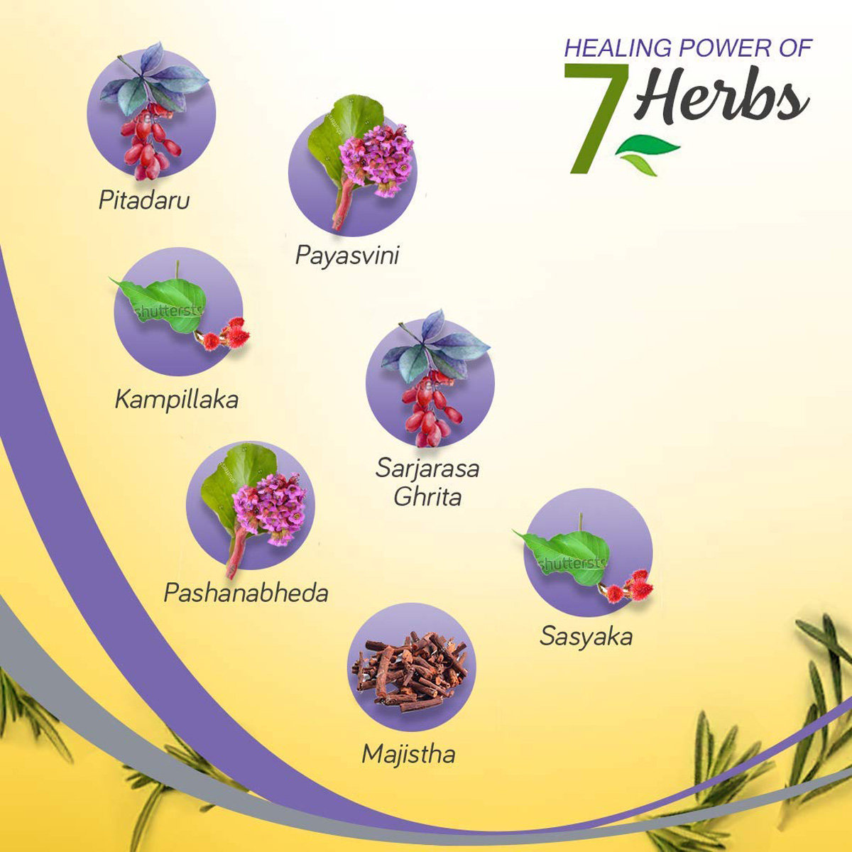 Krack Heel Repair Cream, 25 gm, Pack of 1 Krack Heel Repair Cream, 25 gm, Pack of 1