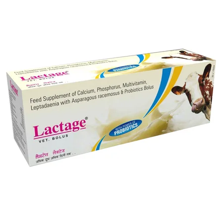 Lactage Bolus