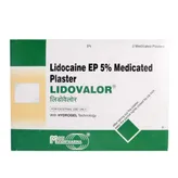 Lidovalor 5% Medicated Plaster 14cm x 10cm 2's, Pack of 1 Patches