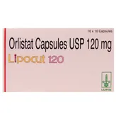 Lipocut 120 Capsule 10's, Pack of 10 CAPSULES