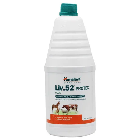 Liv 52 Protect Liquid 1000 ml
