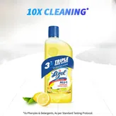 Lizol Disinfectant Citrus Surface Cleaner, 500 ml, Pack of 1