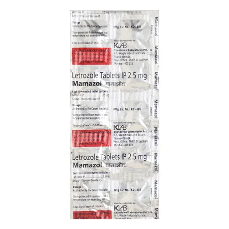 Mamazol Tablet 10's