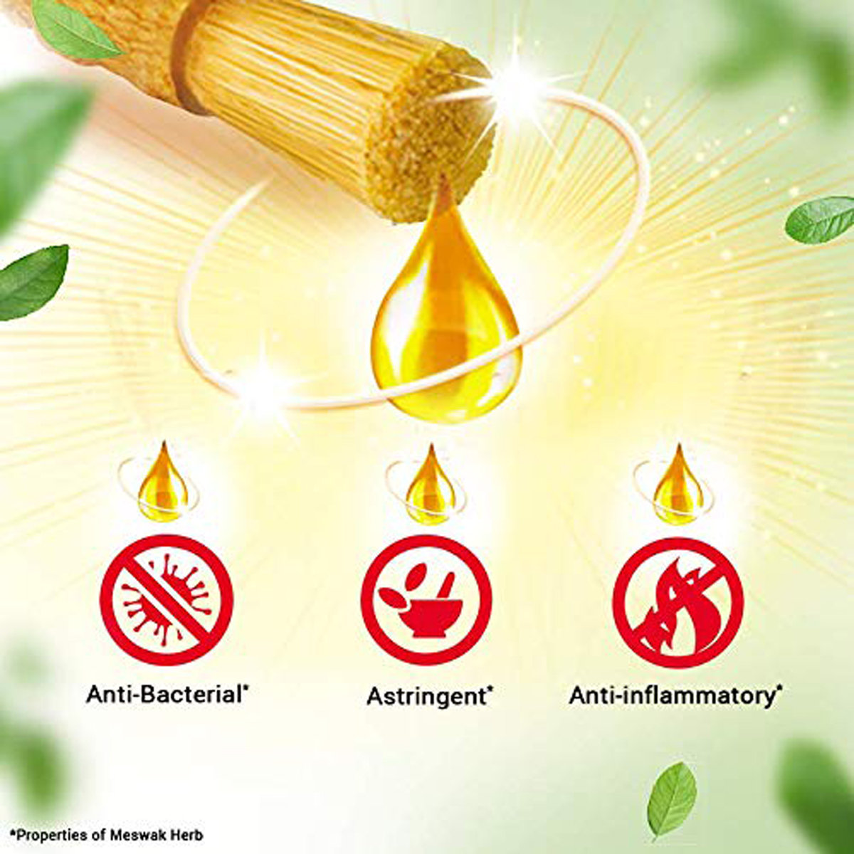 Dabur Meswak Complete Tooth & Gum Care Toothpaste, 300 gm (2x150 gm), Pack of 1 Dabur Meswak Complete Tooth & Gum Care Toothpaste, 300 gm (2x150 gm), Pack of 1