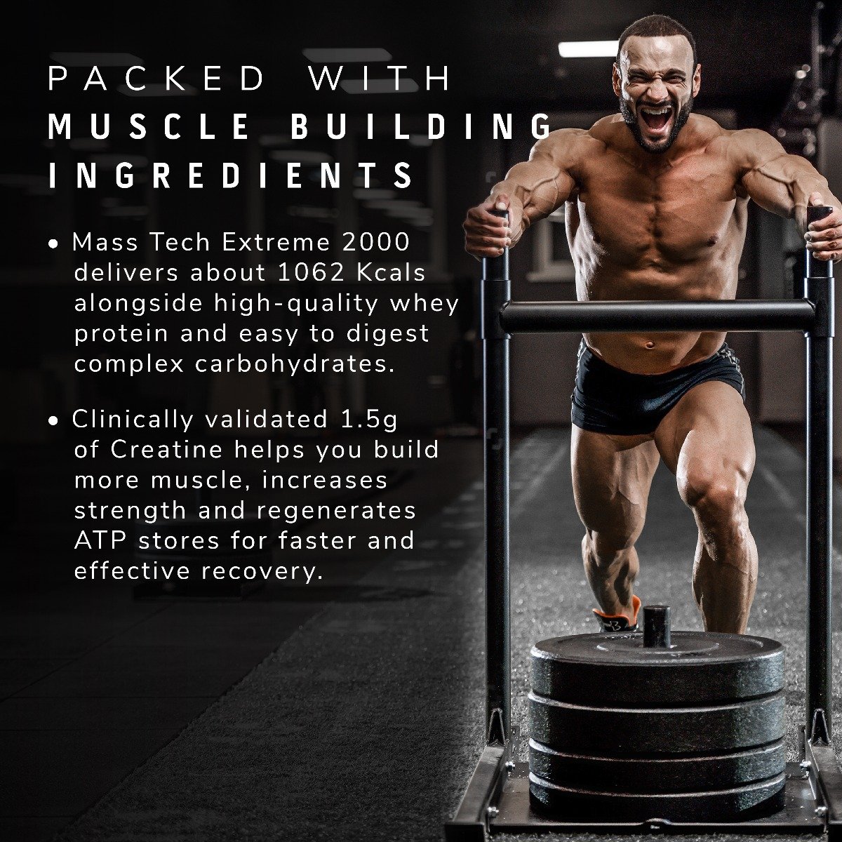 Muscletech Mass Tech Extreme 2000 Triple Chocolate Brownie Flavour Powder, 3 kg, Pack of 1 Muscletech Mass Tech Extreme 2000 Triple Chocolate Brownie Flavour Powder, 3 kg, Pack of 1