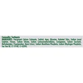 Neem Active Toothpaste, 125 gm (100 gm + 25 gm Free), Pack of 1