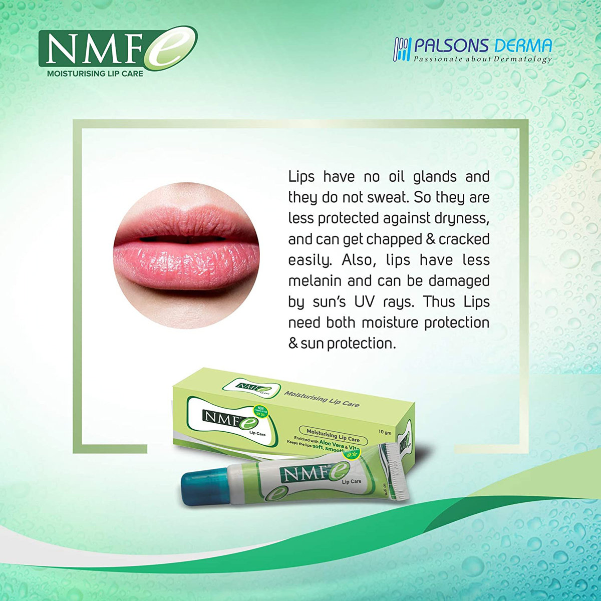 Nmfe Lip Care, 10 gm, Pack of 1 Nmfe Lip Care, 10 gm, Pack of 1