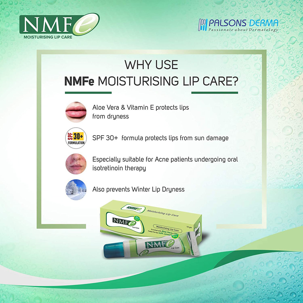 Nmfe Lip Care, 10 gm, Pack of 1 Nmfe Lip Care, 10 gm, Pack of 1